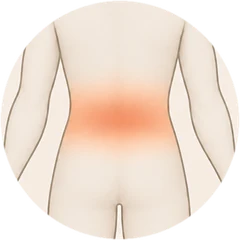 The warm area on the lower back