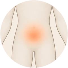 The warm area on the belly