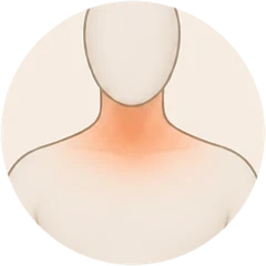 The warm area on the neck